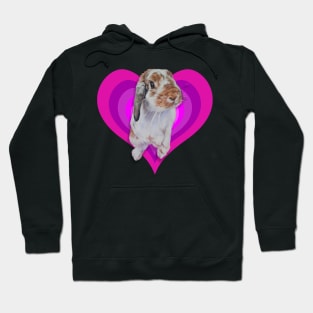 Gorgeous Leonard bunny on a pink rainbow heart! Hoodie